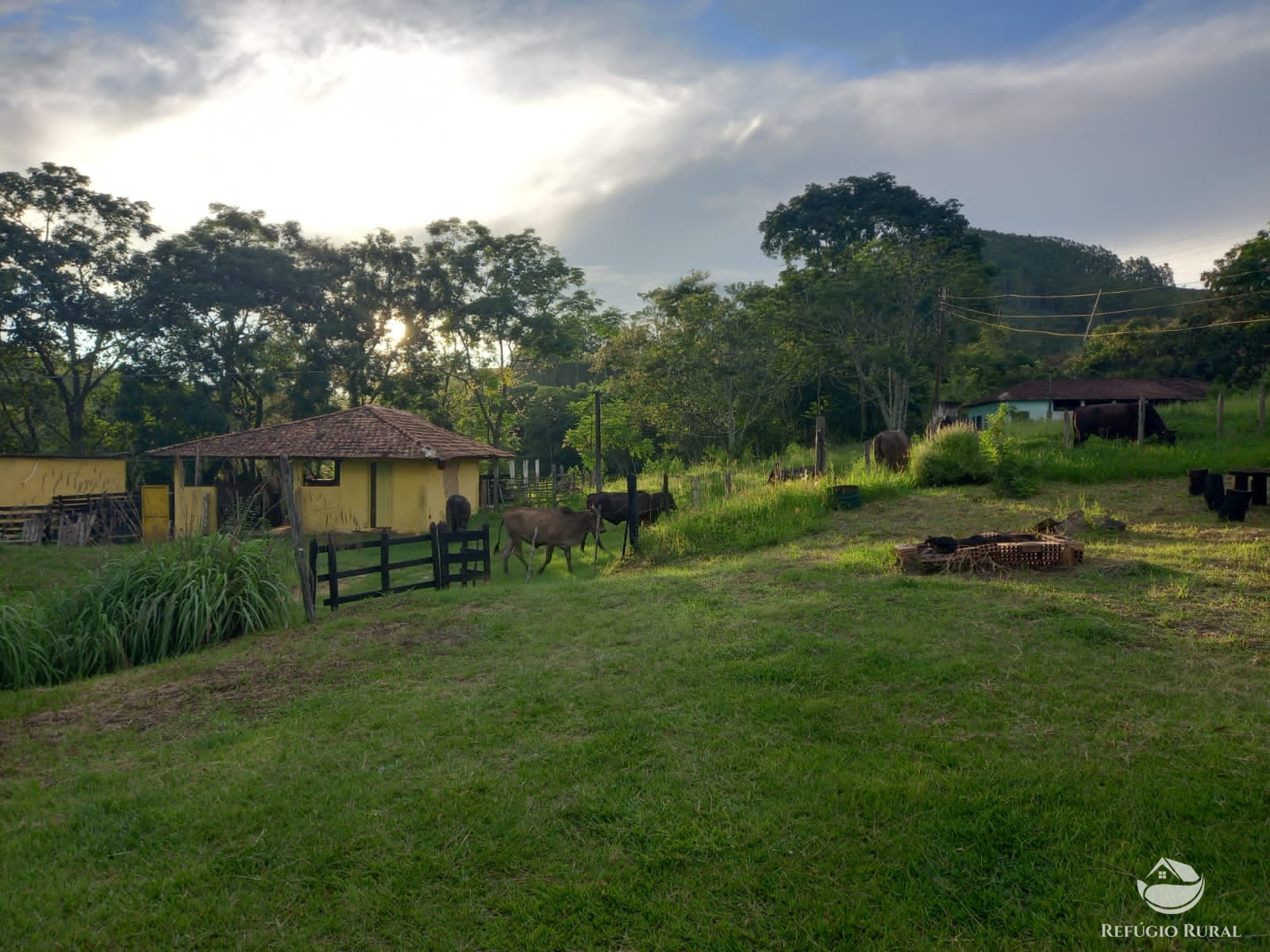 Fazenda à venda com 6 quartos, 1452000m² - Foto 20