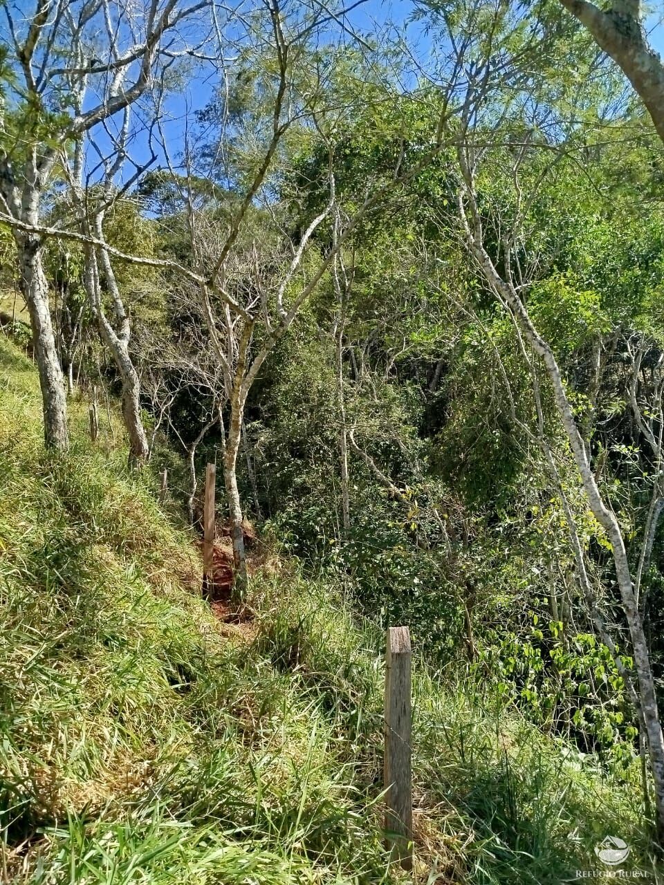 Fazenda à venda com 1 quarto, 24000m² - Foto 4