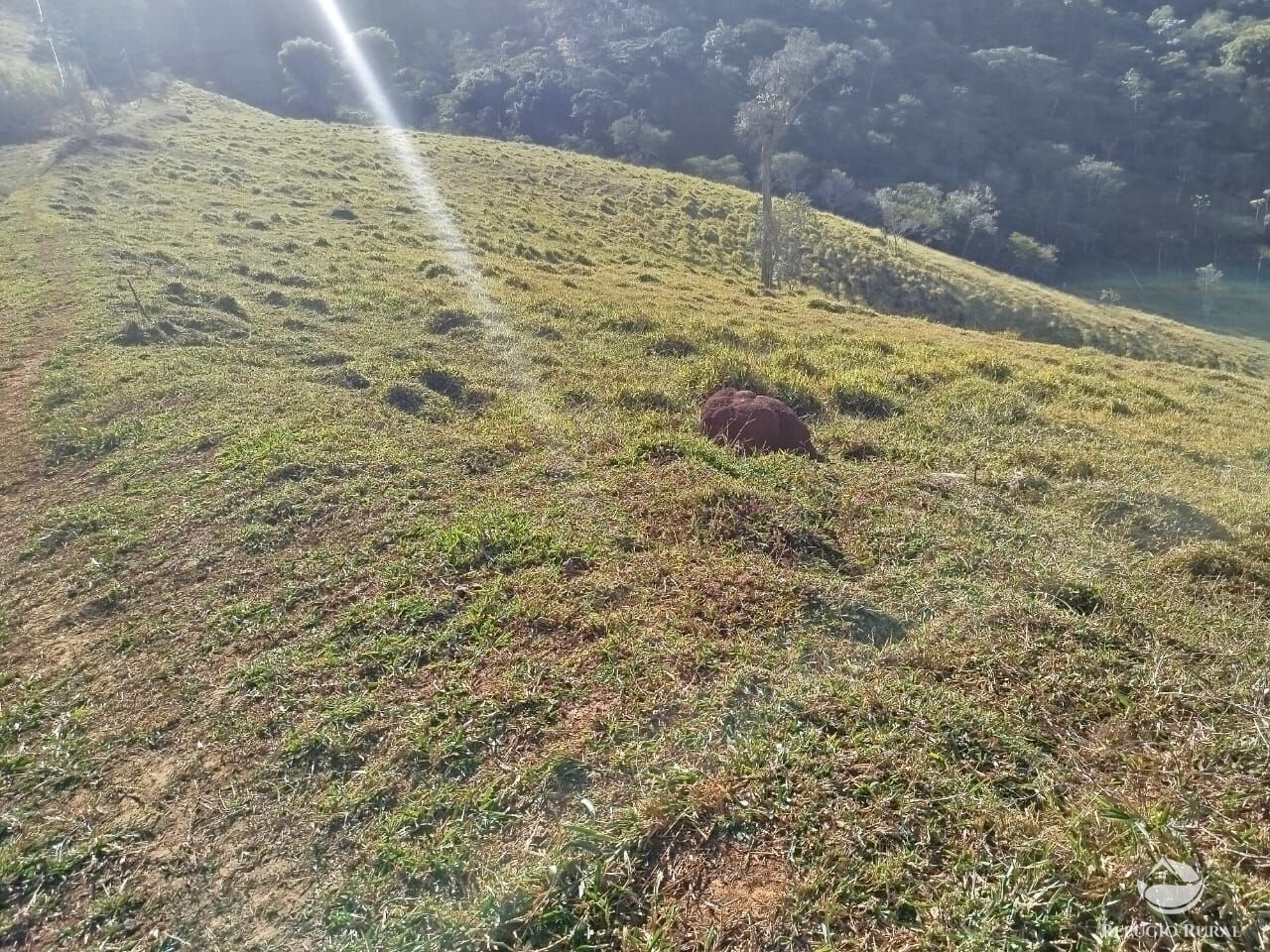 Fazenda à venda com 1 quarto, 24000m² - Foto 5