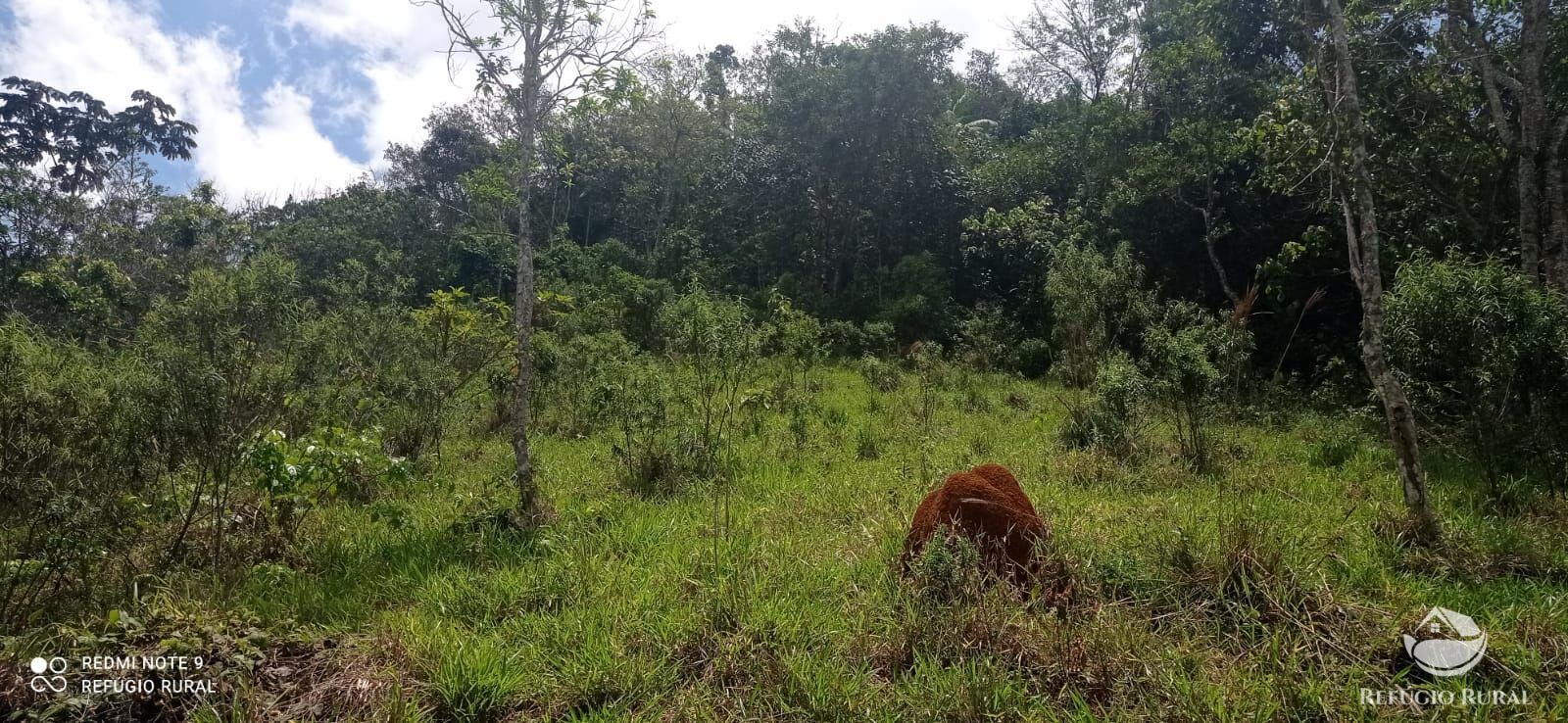 Terreno à venda, 33000m² - Foto 33