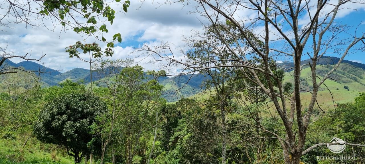 Terreno à venda, 33000m² - Foto 5