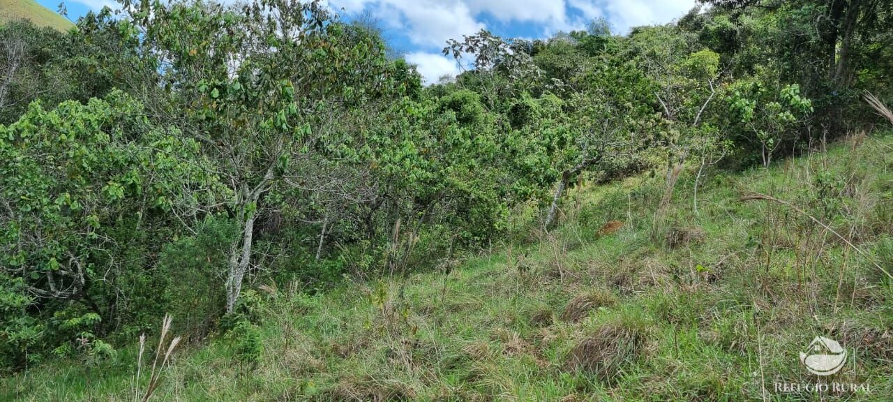 Terreno à venda, 33000m² - Foto 32