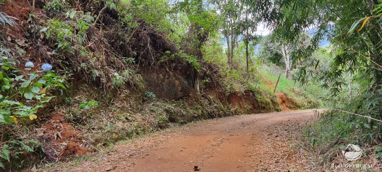 Terreno à venda, 33000m² - Foto 9