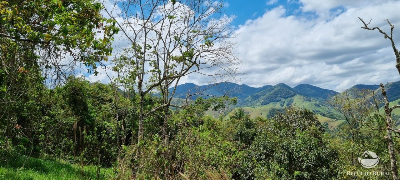 Terreno à venda, 33000m² - Foto 4