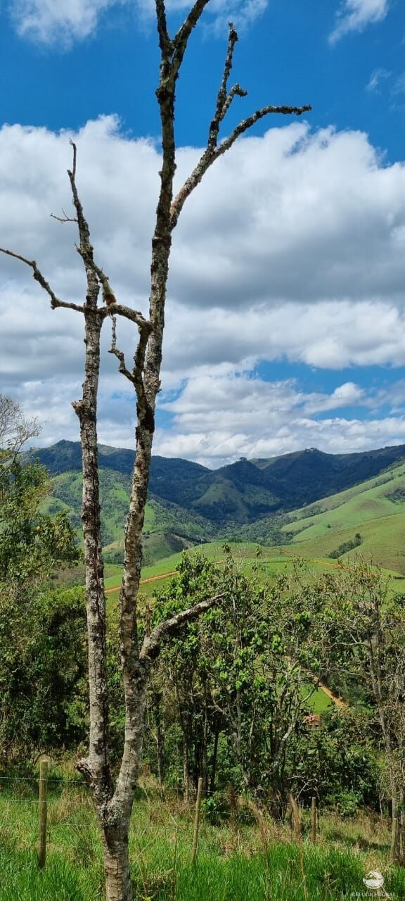 Terreno à venda, 33000m² - Foto 3