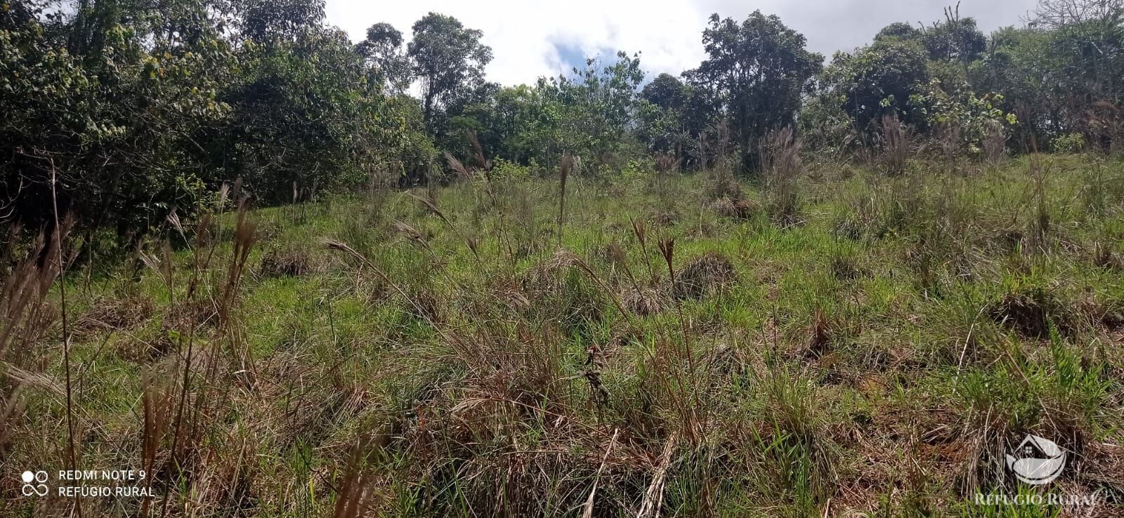 Terreno à venda, 33000m² - Foto 48