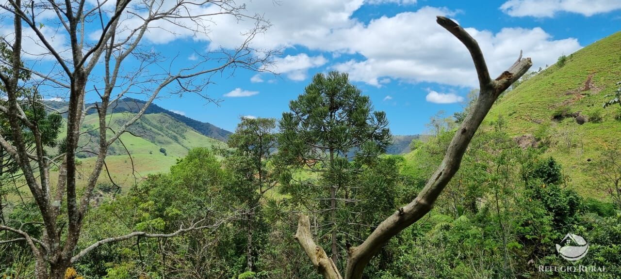 Terreno à venda, 33000m² - Foto 25