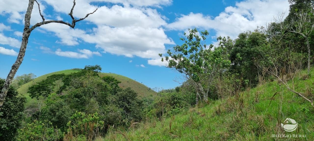 Terreno à venda, 33000m² - Foto 21