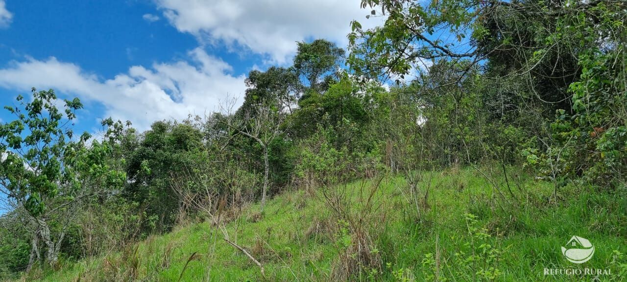 Terreno à venda, 33000m² - Foto 7