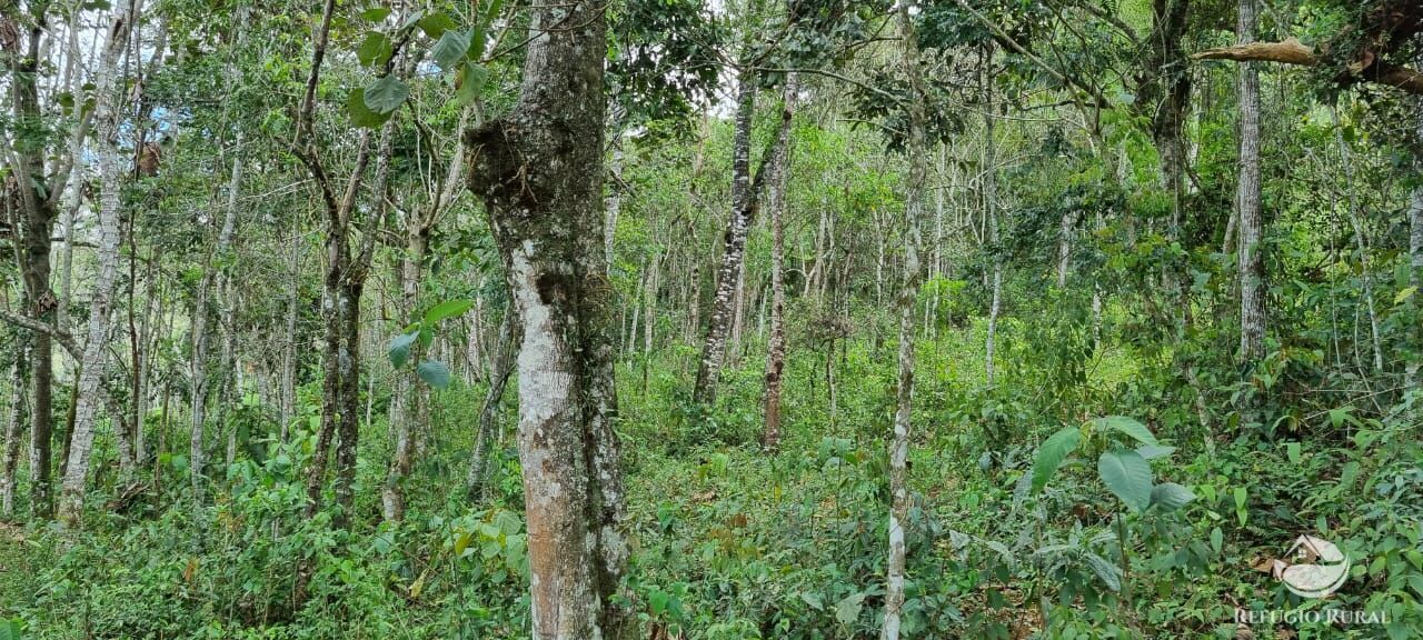 Terreno à venda, 33000m² - Foto 10