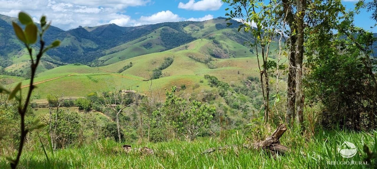 Terreno à venda, 33000m² - Foto 1