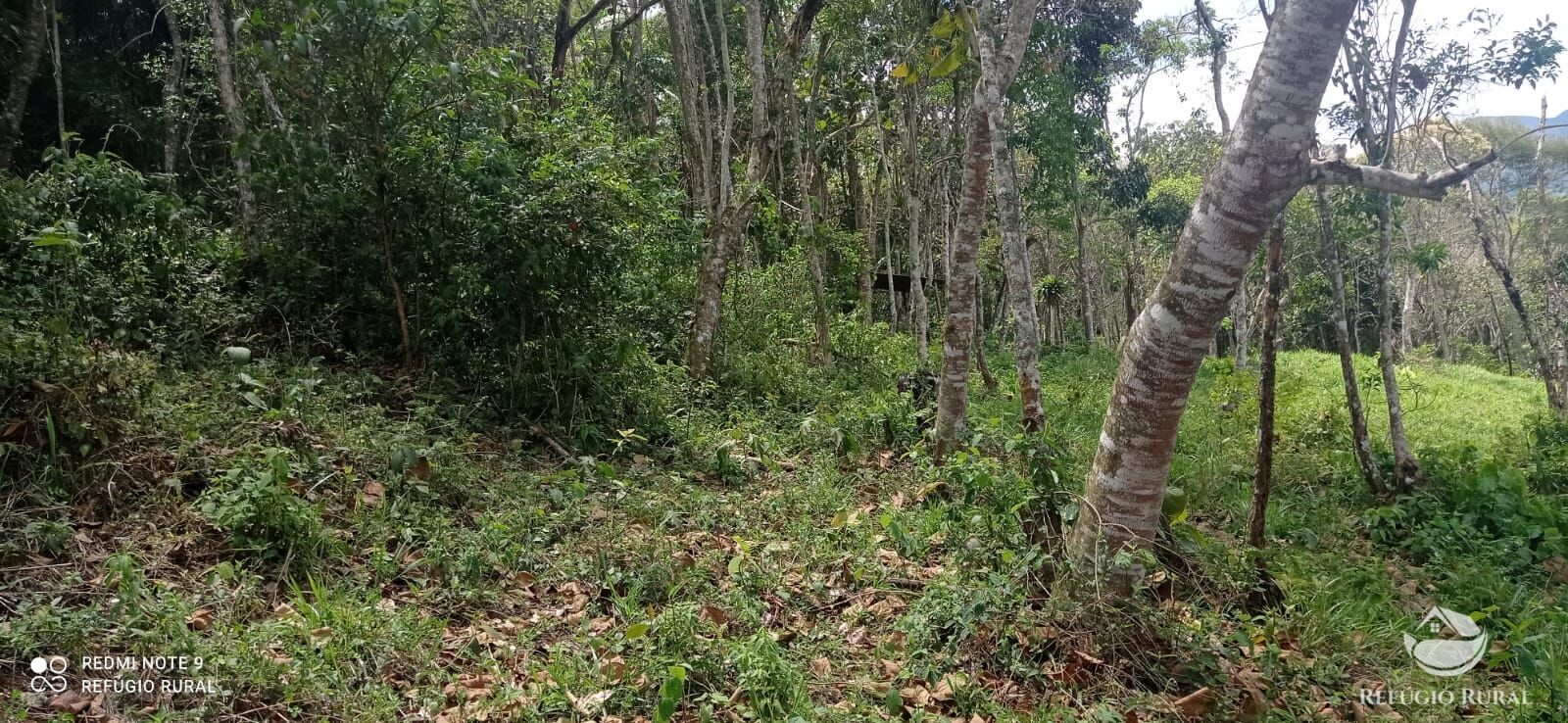 Terreno à venda, 33000m² - Foto 35