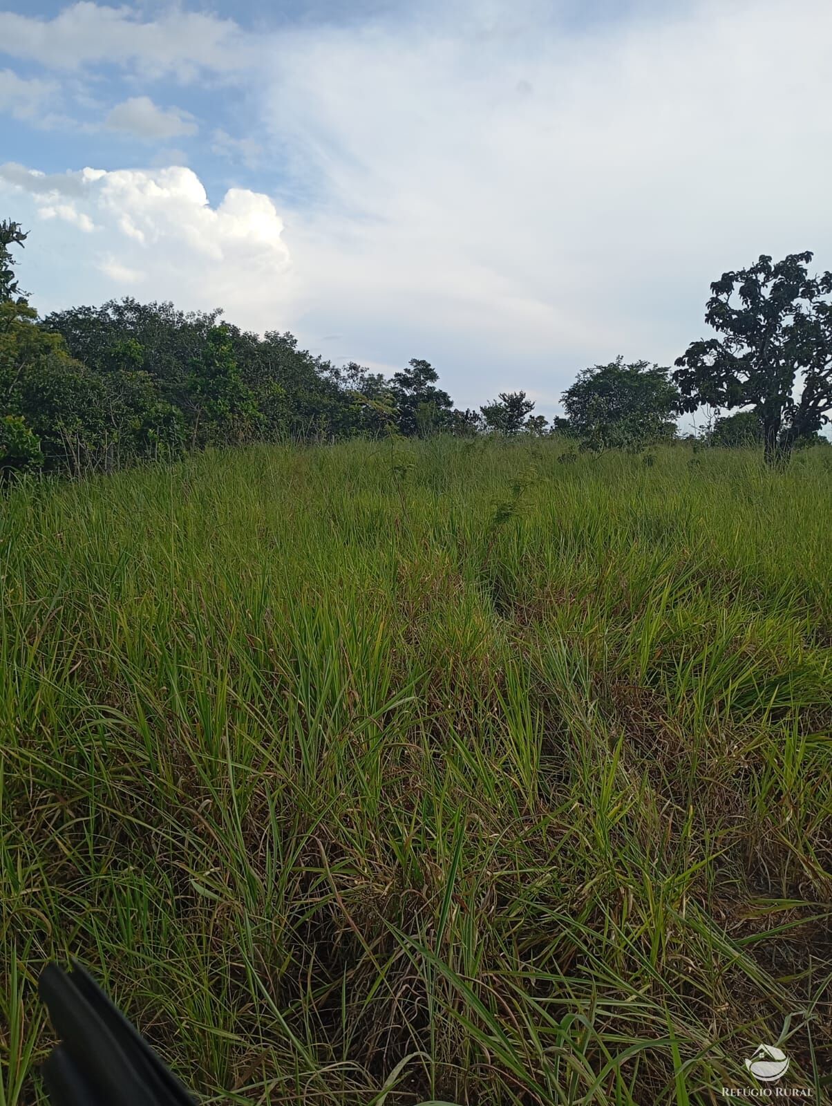 Fazenda, 215 hectares - Foto 15