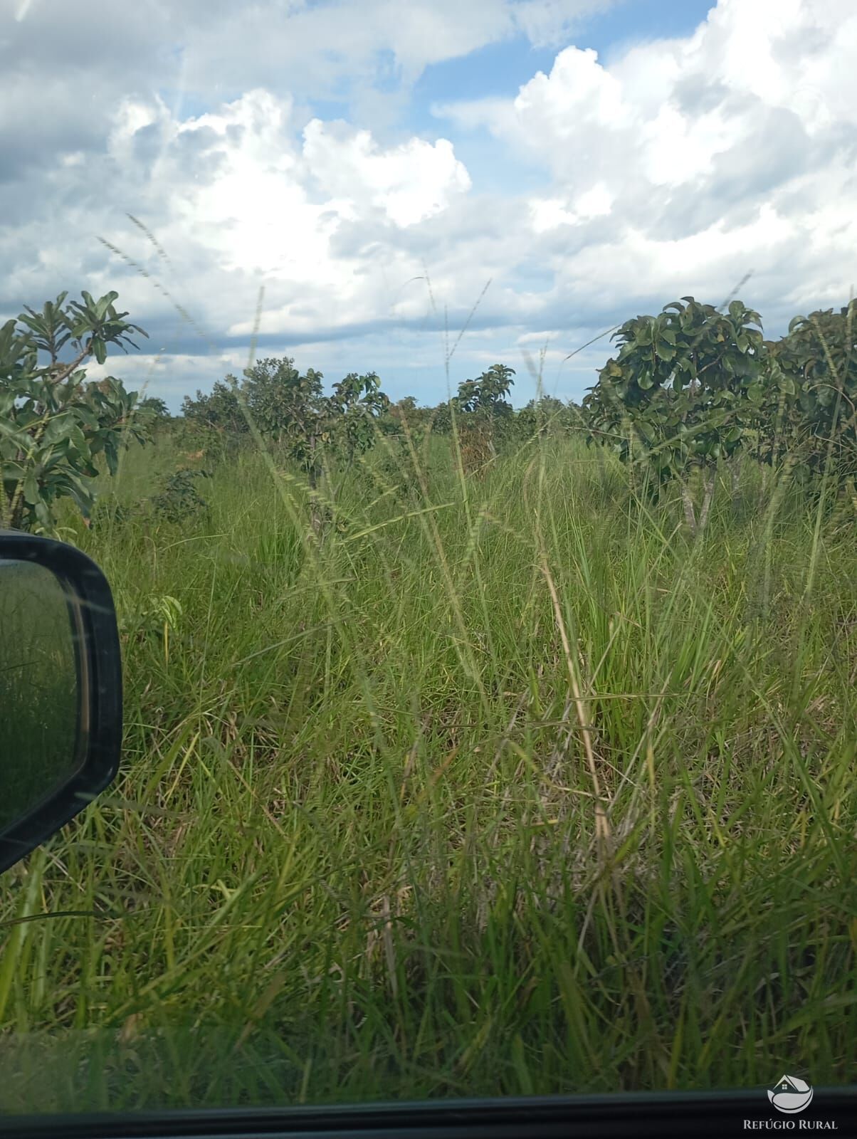 Fazenda, 215 hectares - Foto 6