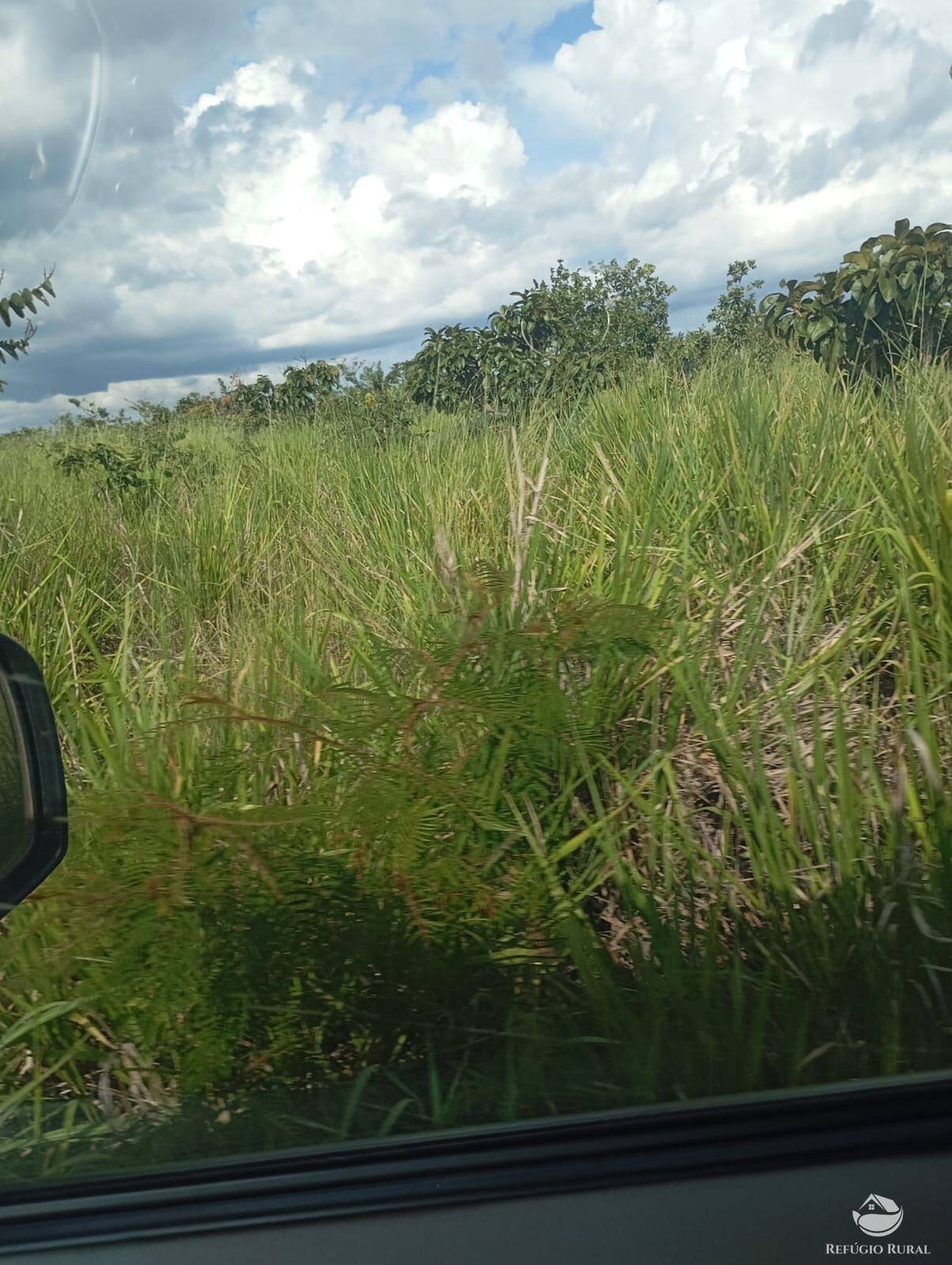 Fazenda, 215 hectares - Foto 13