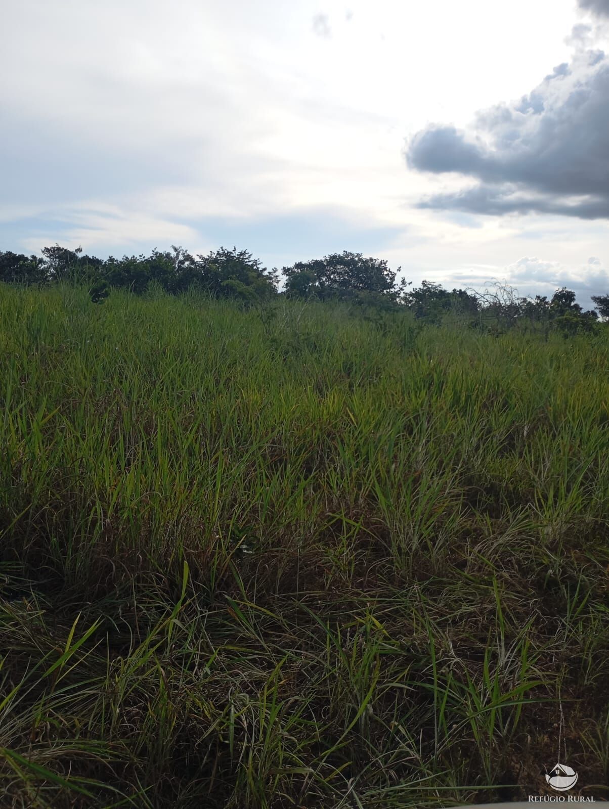 Fazenda, 215 hectares - Foto 7
