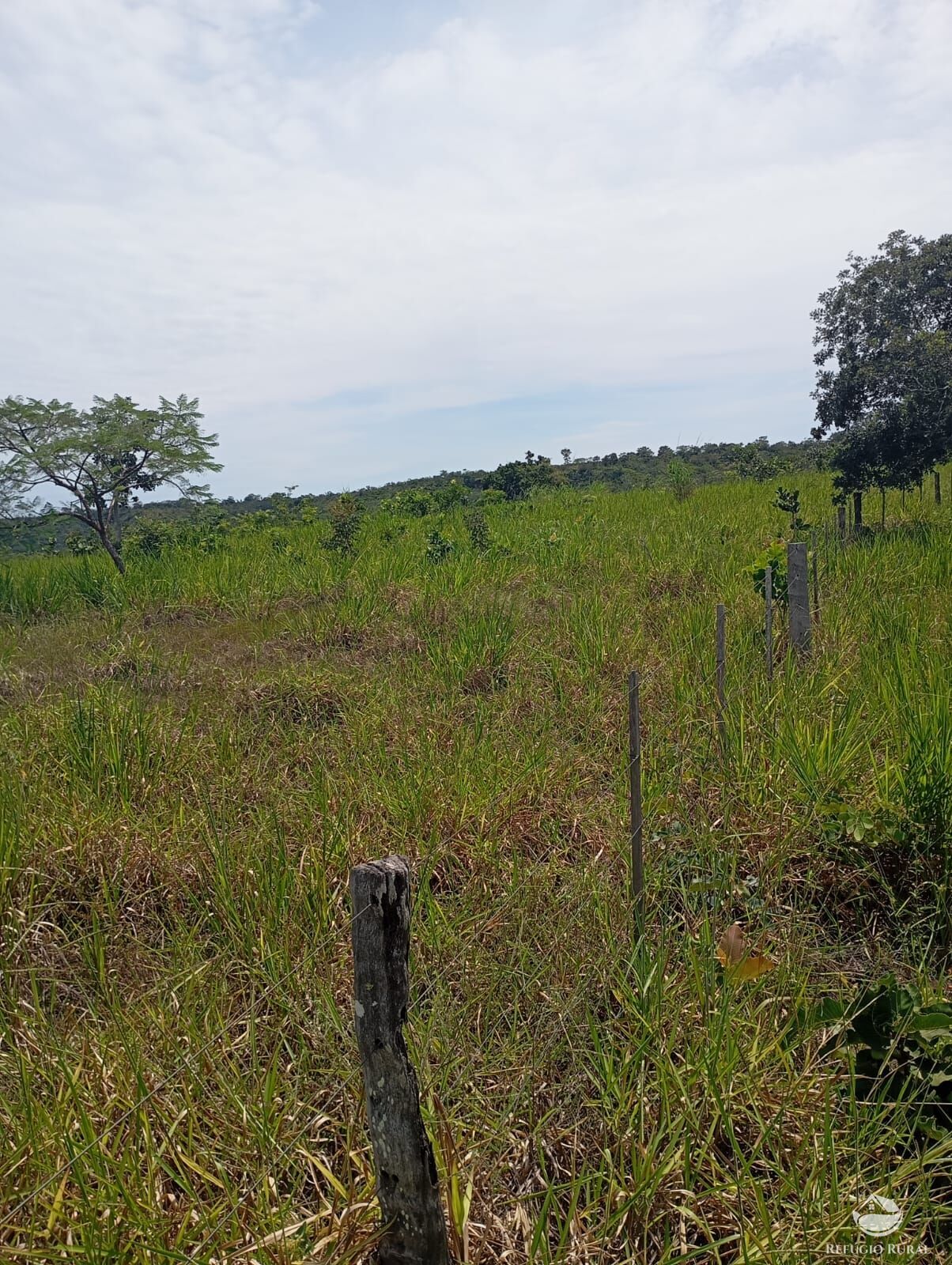 Fazenda, 215 hectares - Foto 8