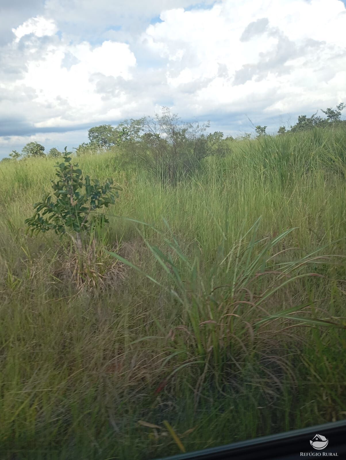 Fazenda, 215 hectares - Foto 12