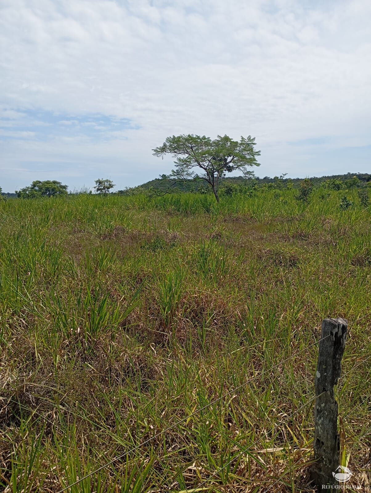 Fazenda, 215 hectares - Foto 1