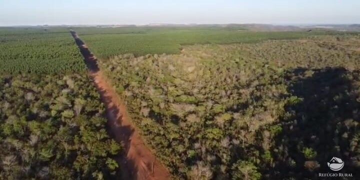 Fazenda à venda com 2 quartos, 144560000m² - Foto 8