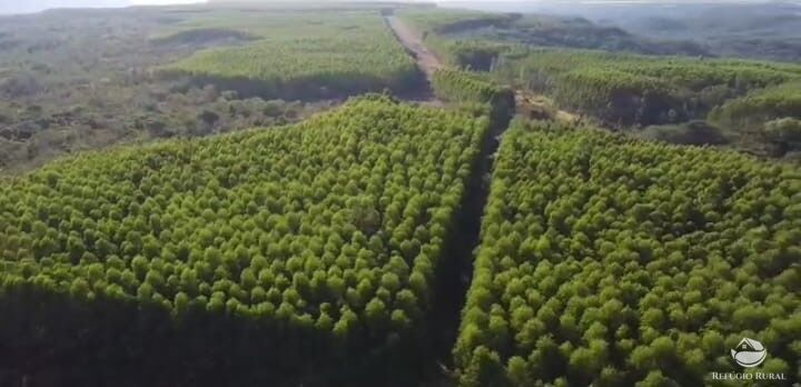 Fazenda à venda com 2 quartos, 144560000m² - Foto 1