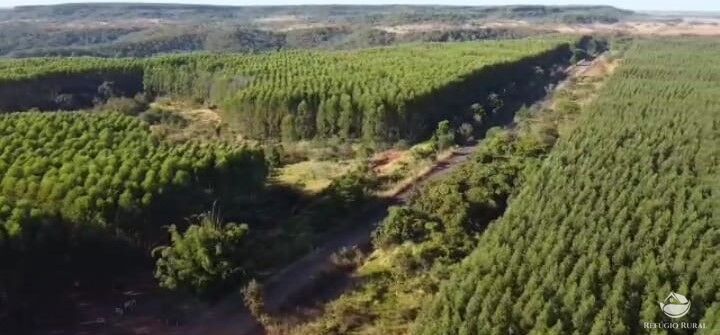 Fazenda à venda com 2 quartos, 144560000m² - Foto 12