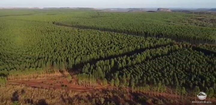 Fazenda à venda com 2 quartos, 144560000m² - Foto 5