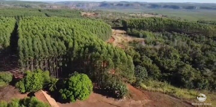 Fazenda à venda com 2 quartos, 144560000m² - Foto 4