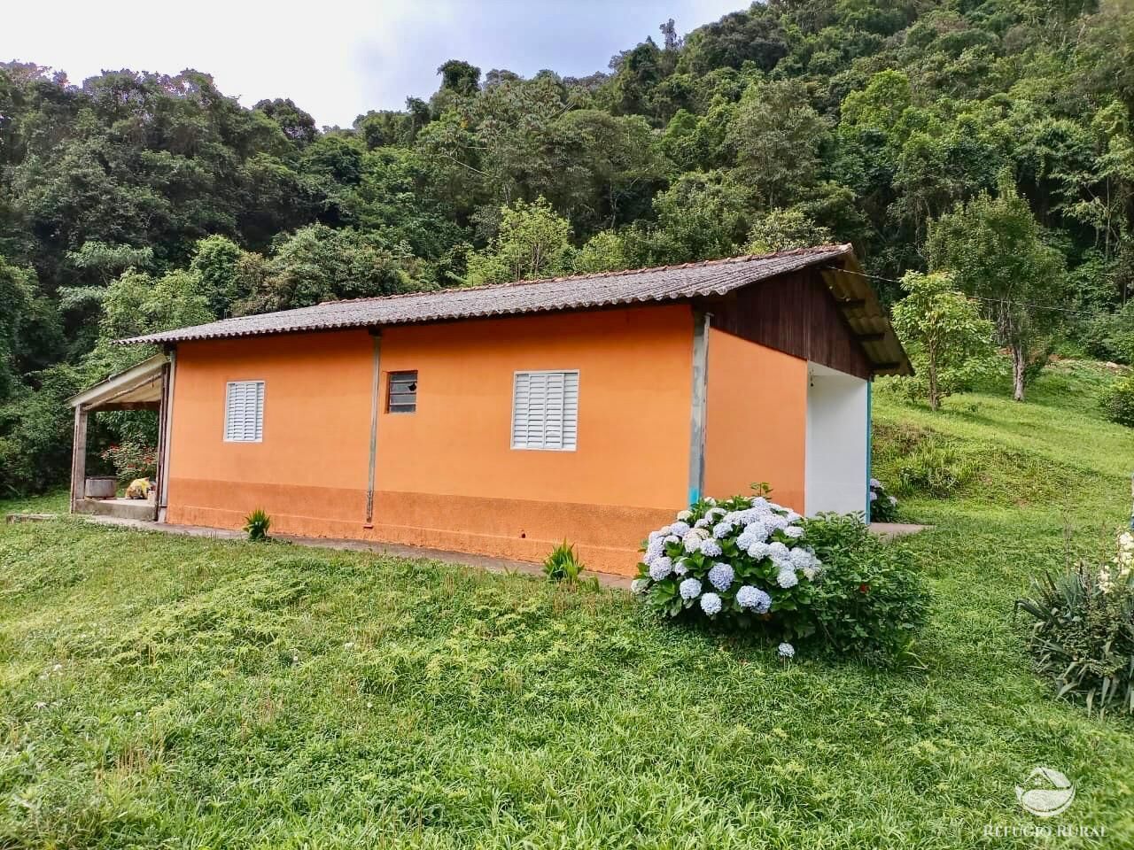 Fazenda, 203 hectares - Foto 10