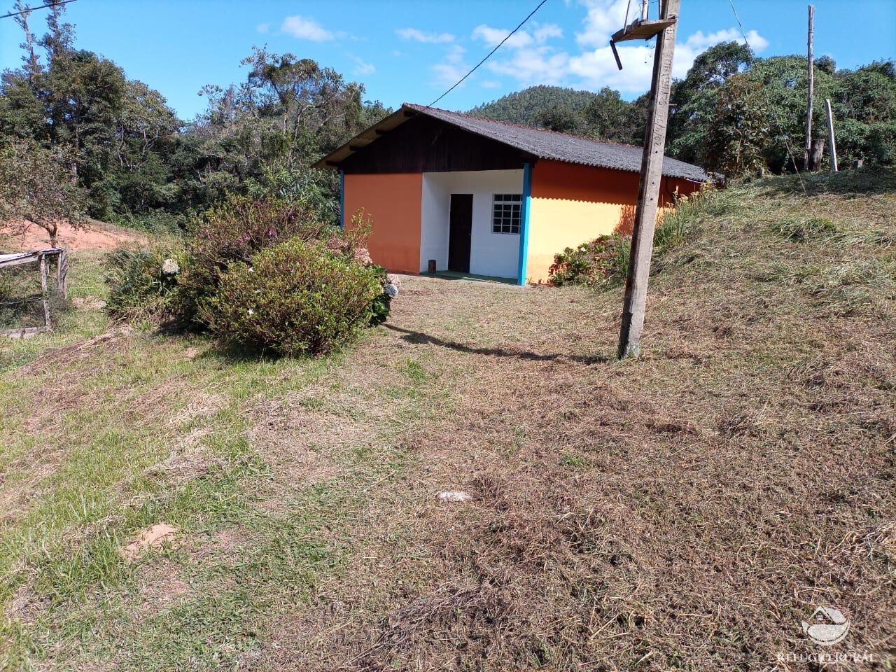 Fazenda, 203 hectares - Foto 19