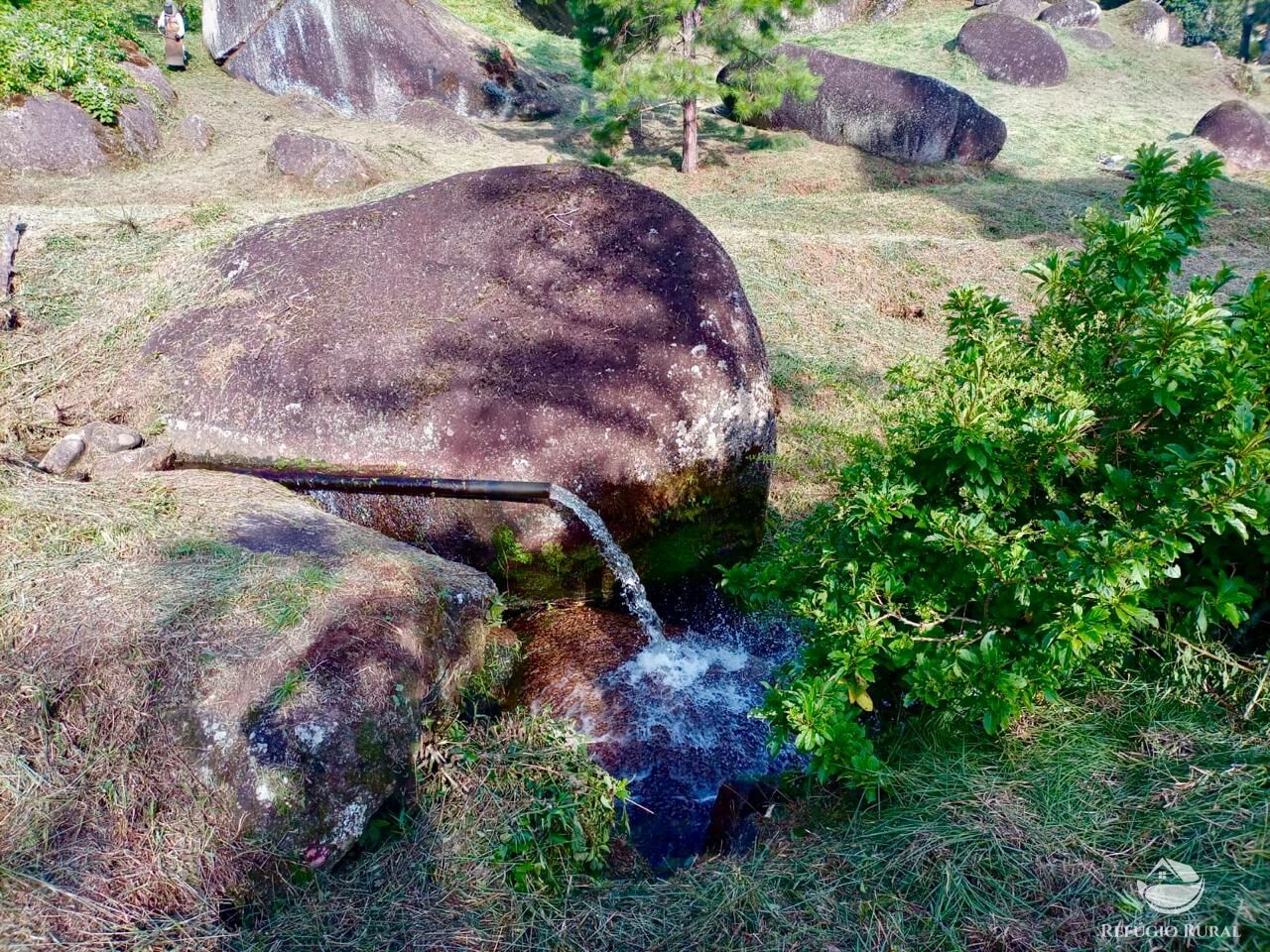 Fazenda, 203 hectares - Foto 14