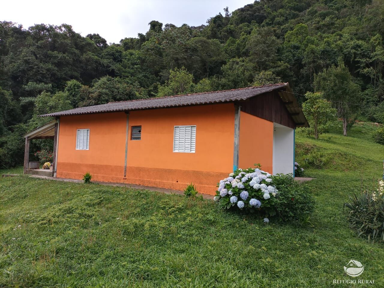 Fazenda, 203 hectares - Foto 8