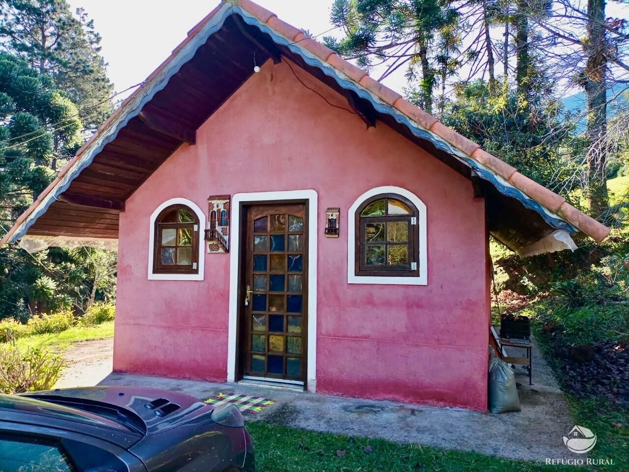 Fazenda, 203 hectares - Foto 12