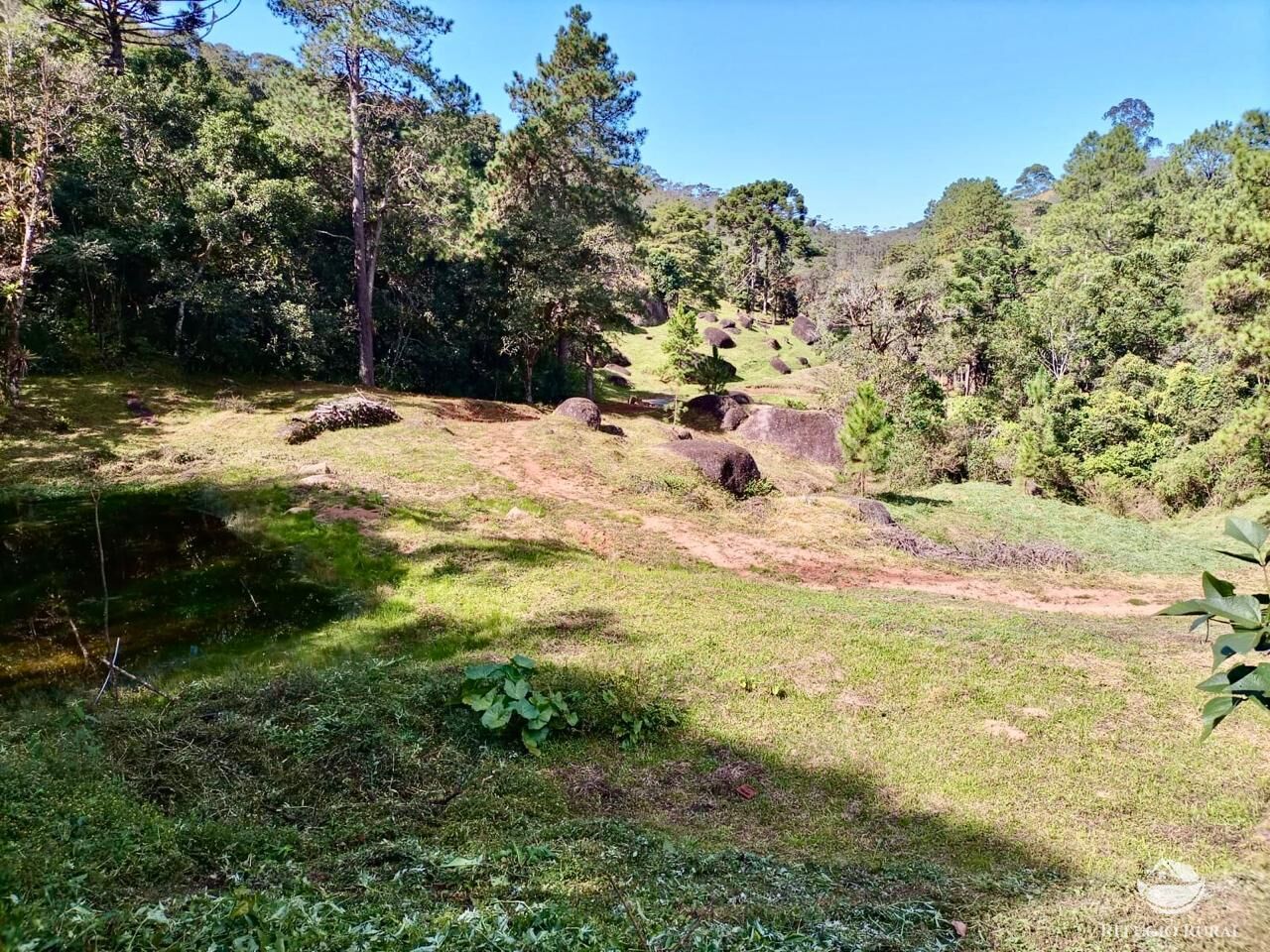 Fazenda, 203 hectares - Foto 7