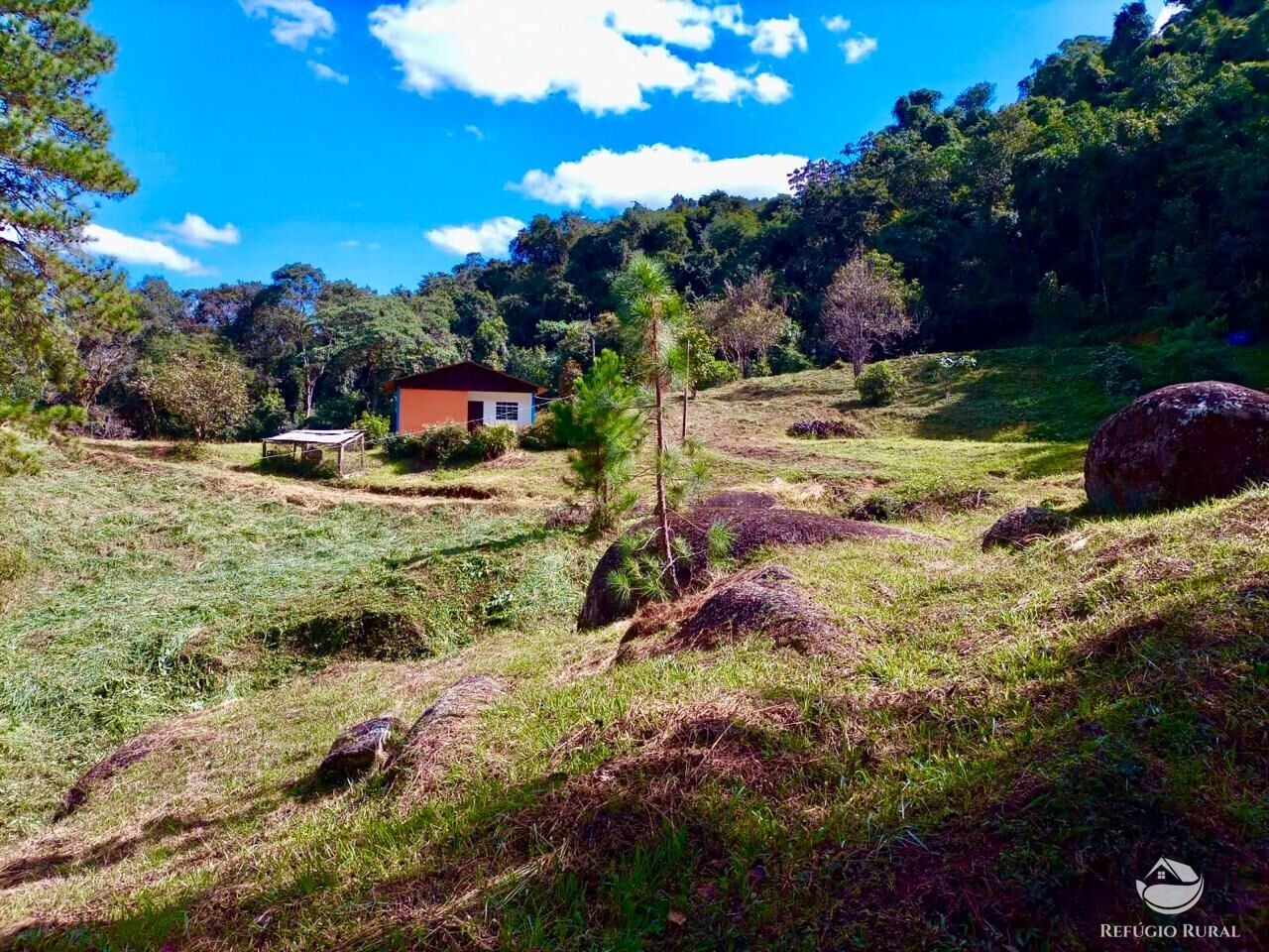 Fazenda, 203 hectares - Foto 3