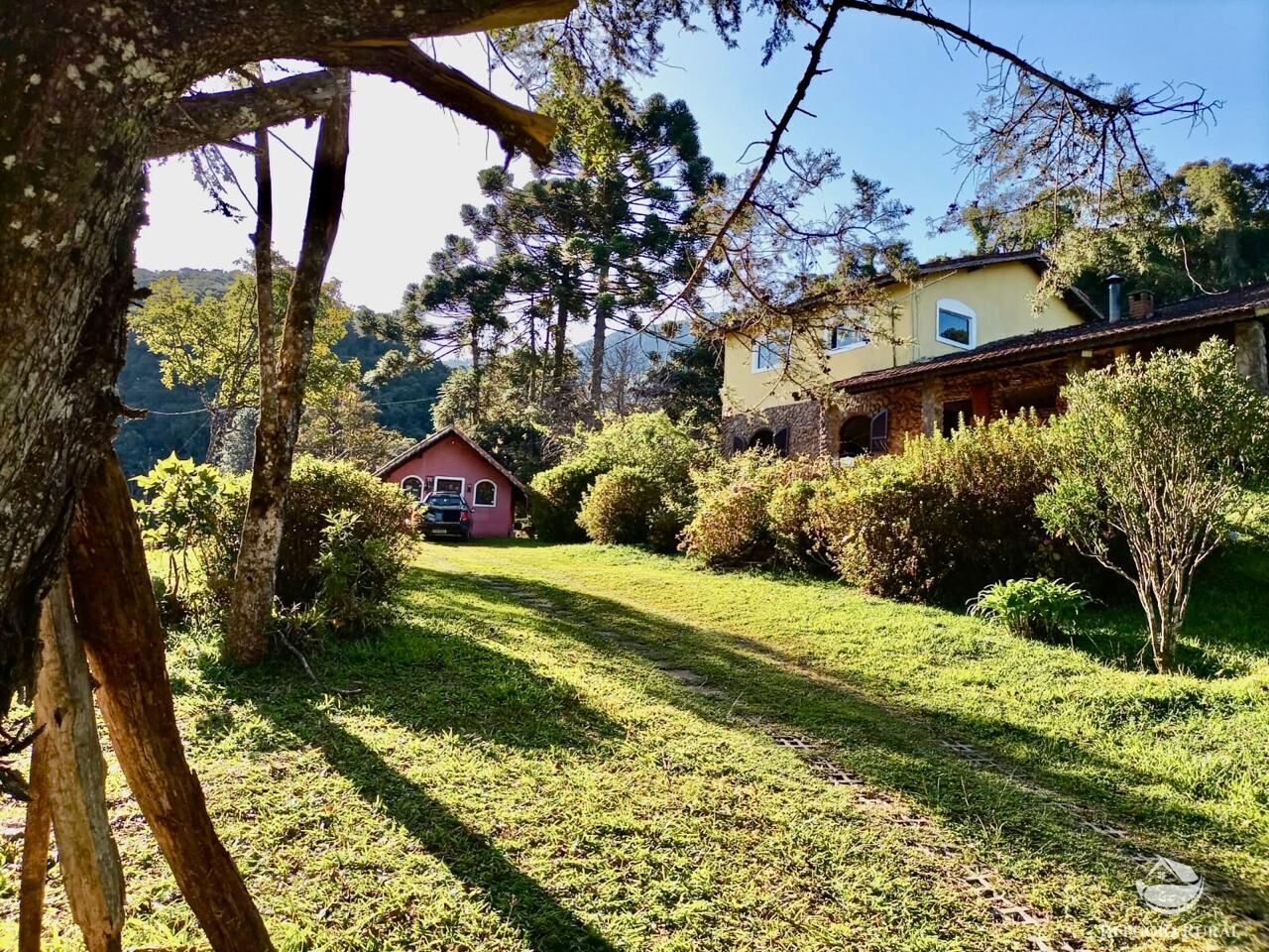 Fazenda, 203 hectares - Foto 2