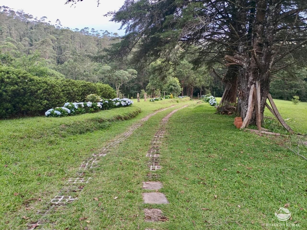 Fazenda, 203 hectares - Foto 16