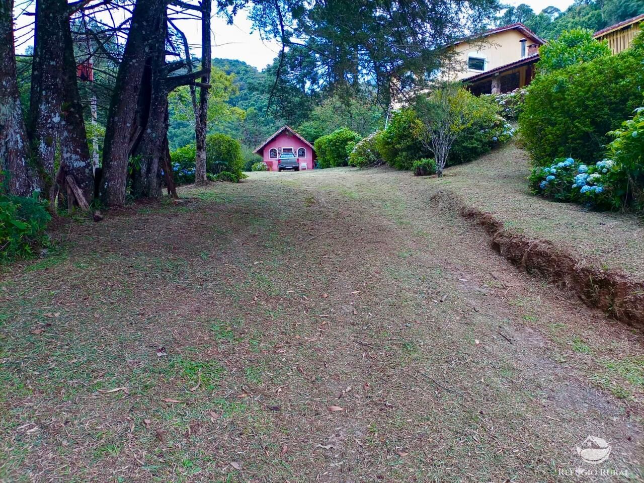 Fazenda, 203 hectares - Foto 6