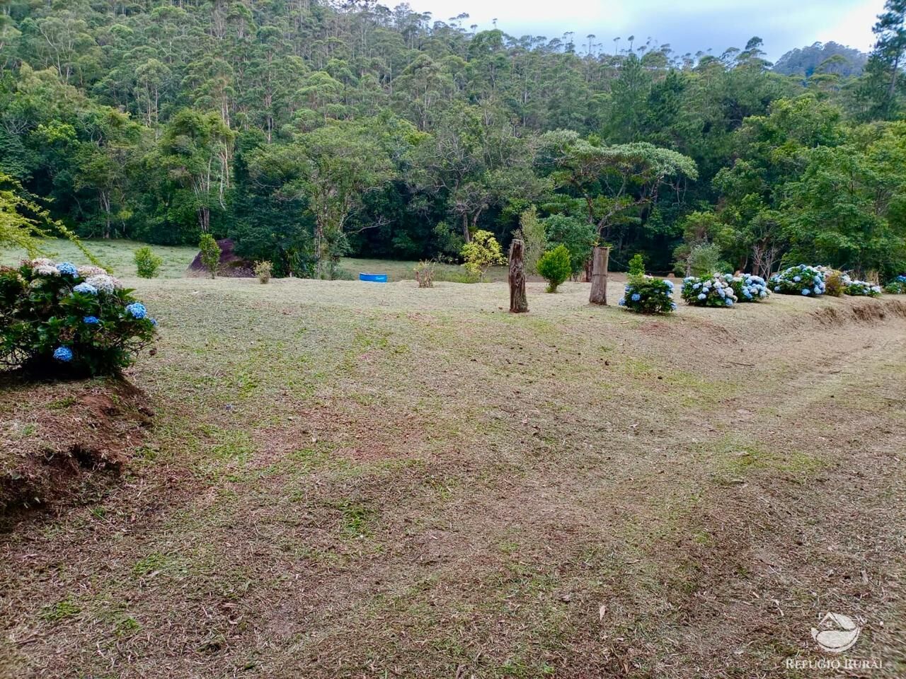 Fazenda, 203 hectares - Foto 15