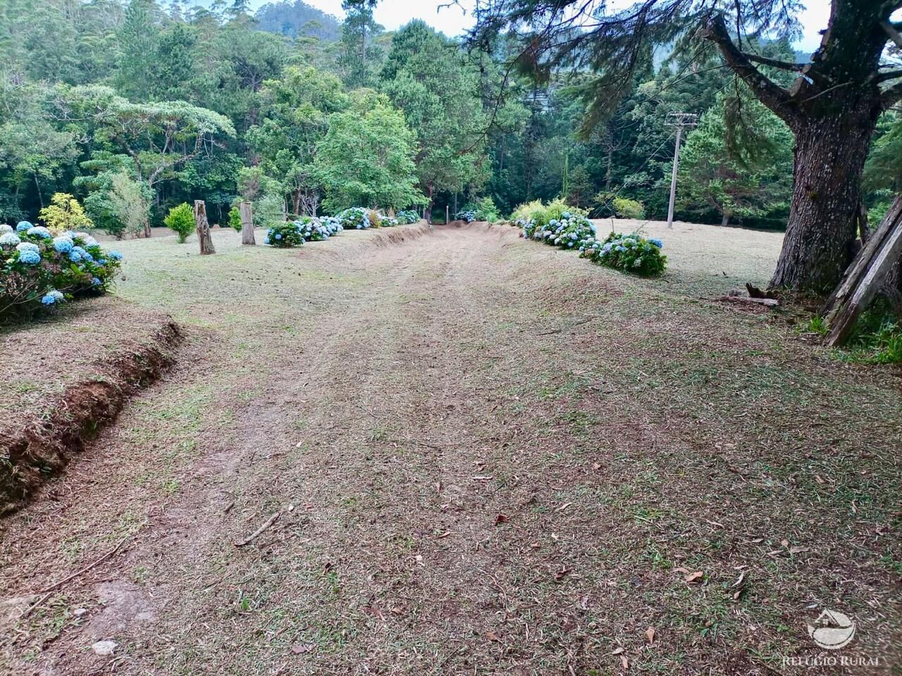 Fazenda, 203 hectares - Foto 13