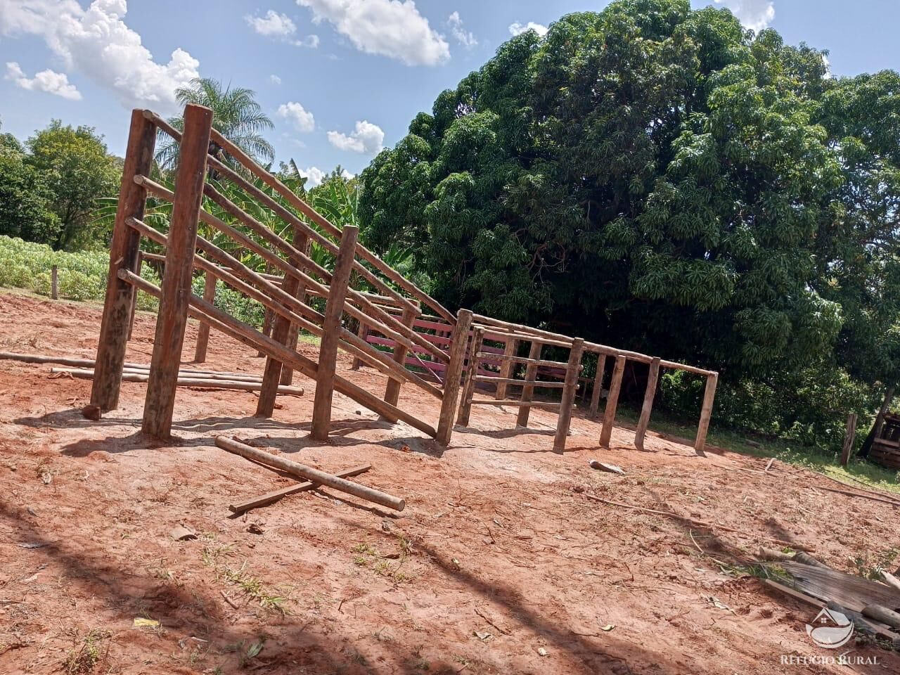 Fazenda, 46 hectares - Foto 15