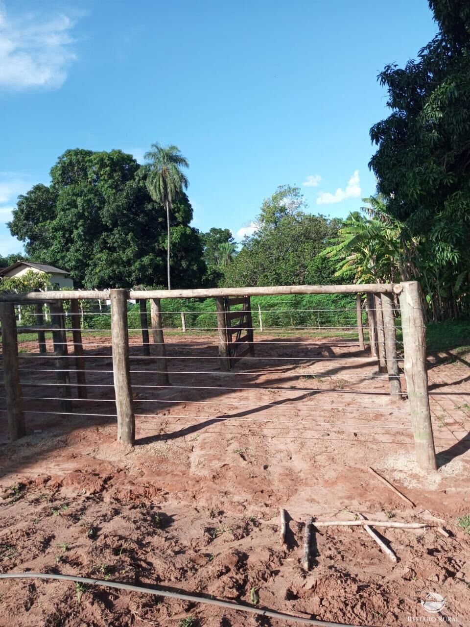 Fazenda, 46 hectares - Foto 16