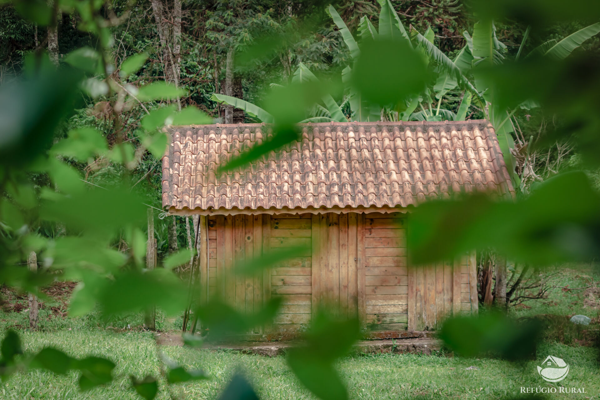 Fazenda à venda com 6 quartos, 48400m² - Foto 1