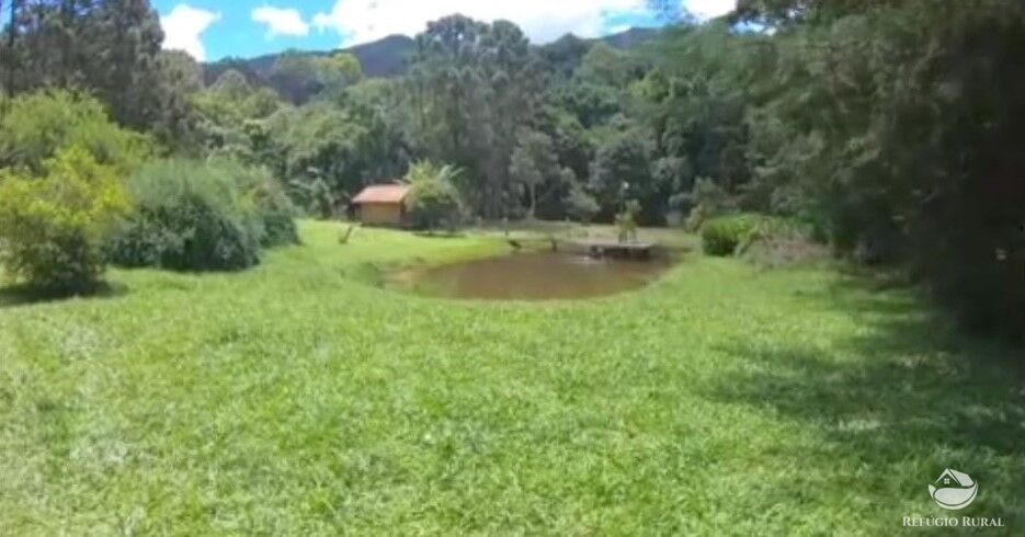 Fazenda à venda com 6 quartos, 48400m² - Foto 4