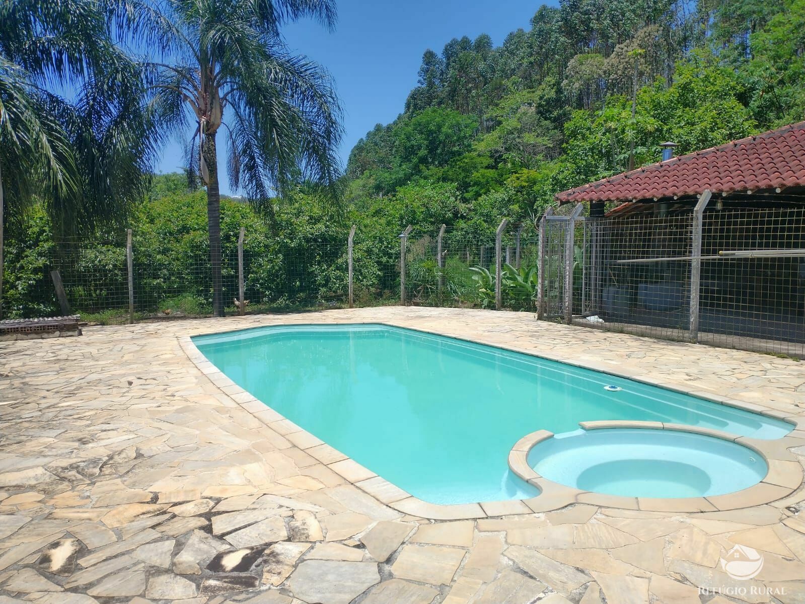 Fazenda à venda com 4 quartos, 20000m² - Foto 2