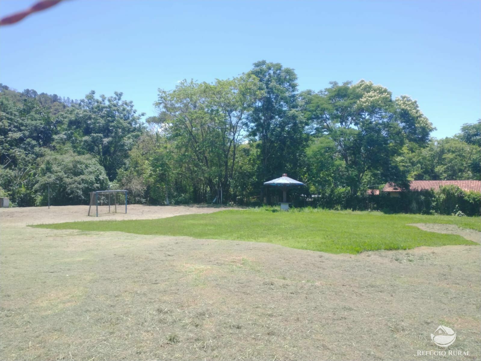 Fazenda à venda com 4 quartos, 20000m² - Foto 4