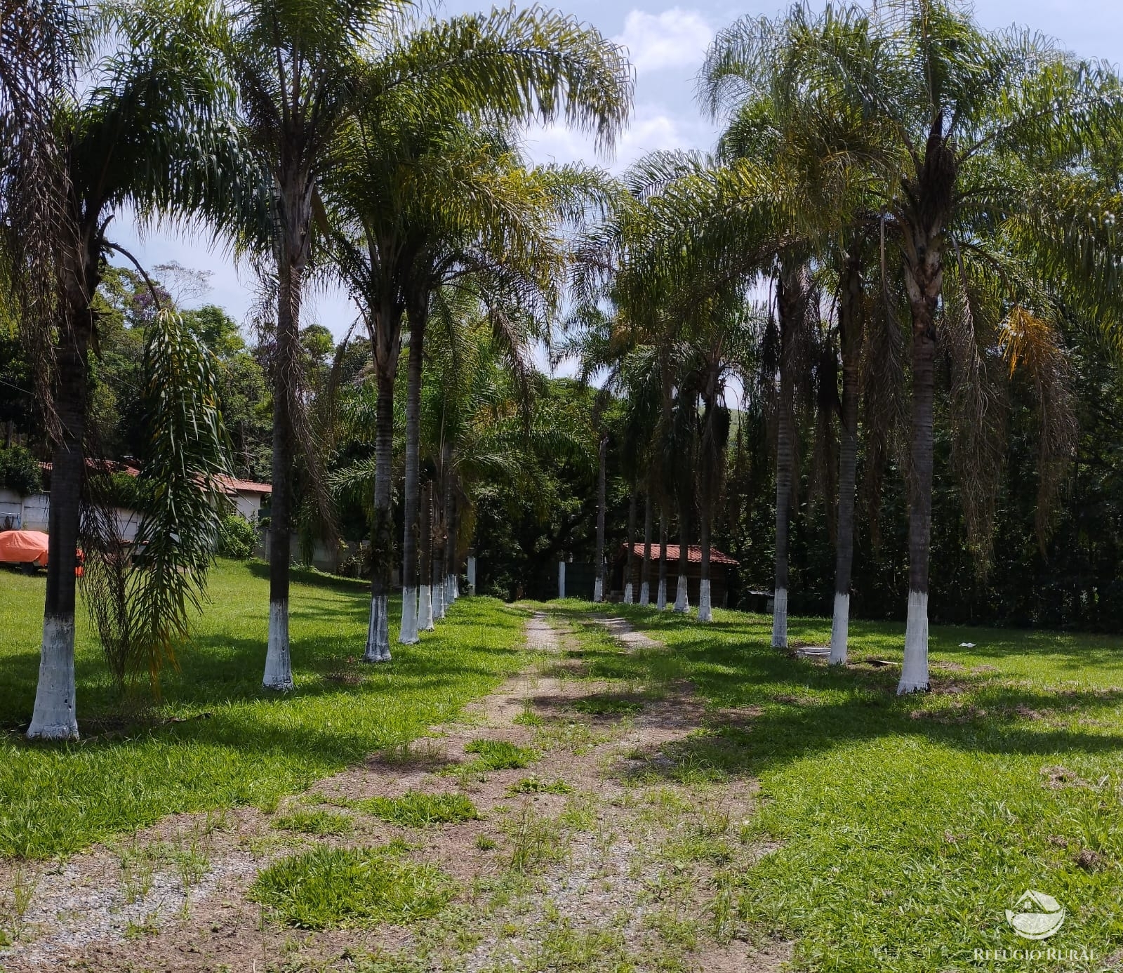 Fazenda à venda com 4 quartos, 20000m² - Foto 8