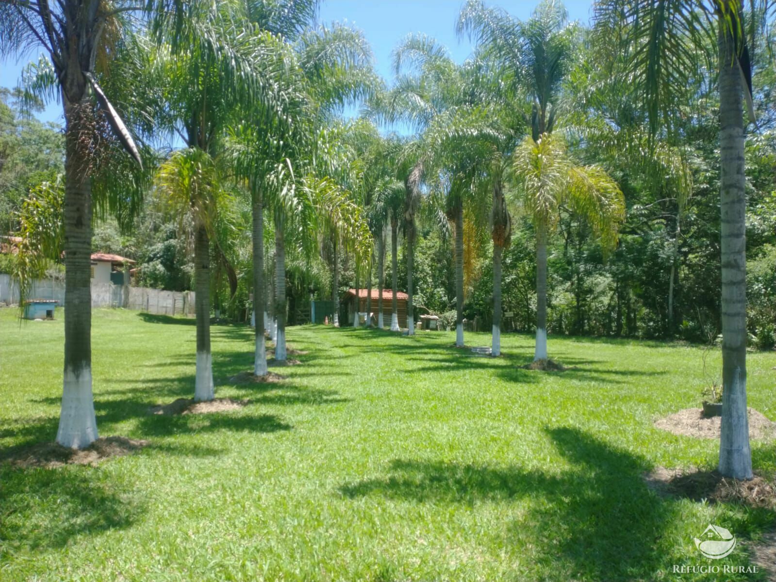 Fazenda à venda com 4 quartos, 20000m² - Foto 1