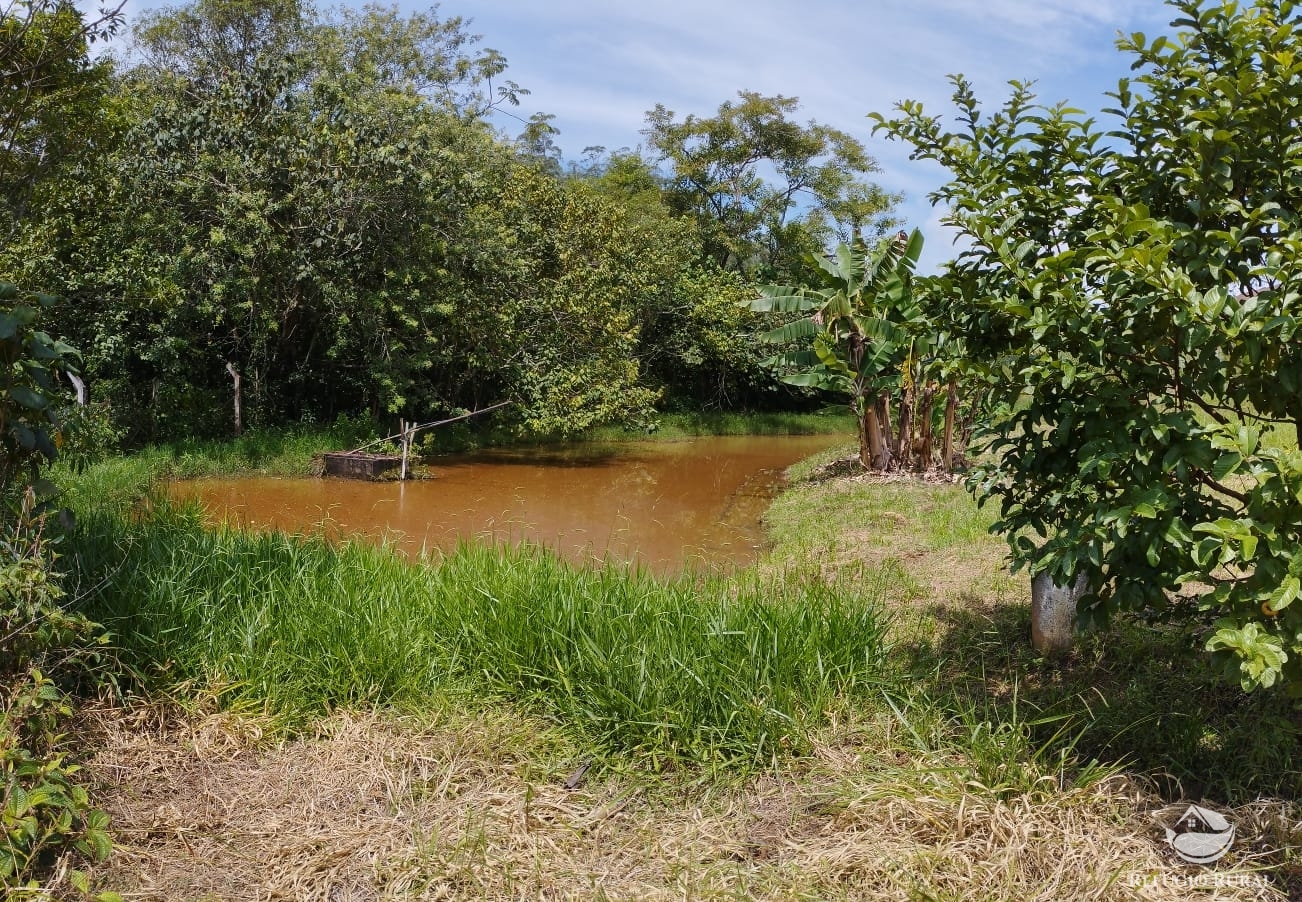 Fazenda à venda com 4 quartos, 20000m² - Foto 5