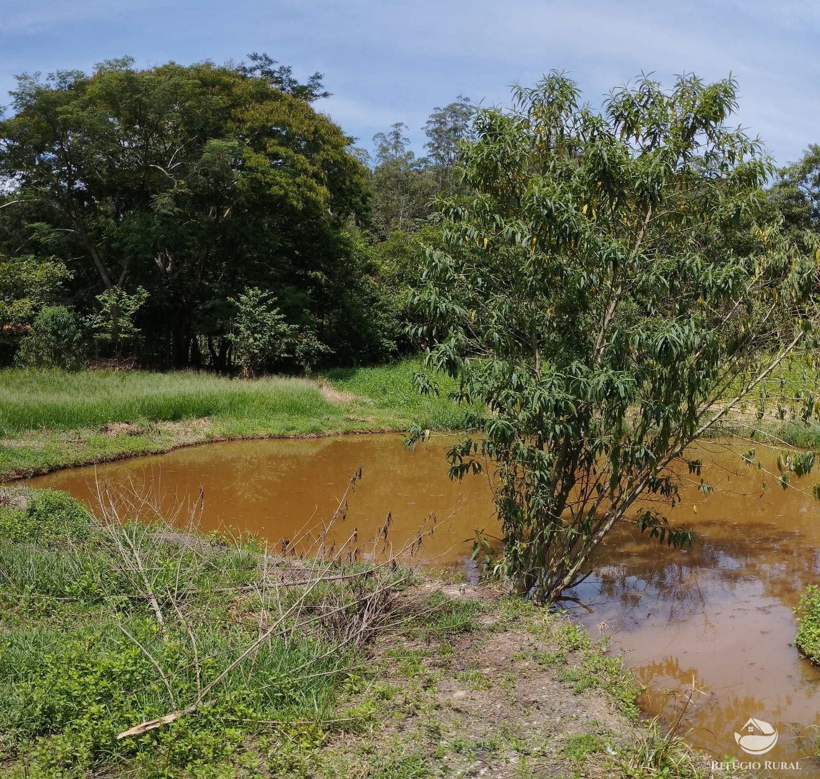 Fazenda à venda com 4 quartos, 20000m² - Foto 10